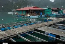 C ' EST QUOI UNE FERME PERLIERE?